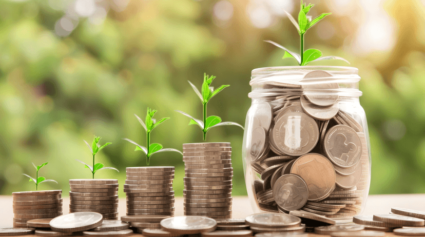 Financial Wellness